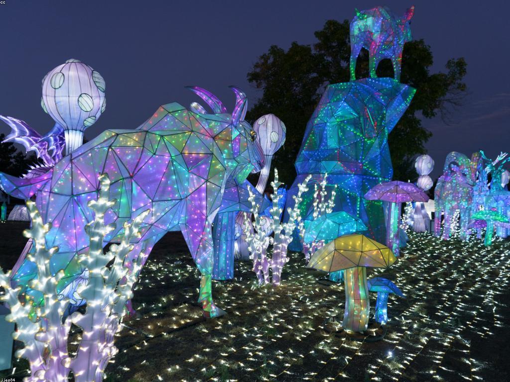 ធាតុផ្សំសំខាន់សម្រាប់ការប្រកួតដ៏ធំ