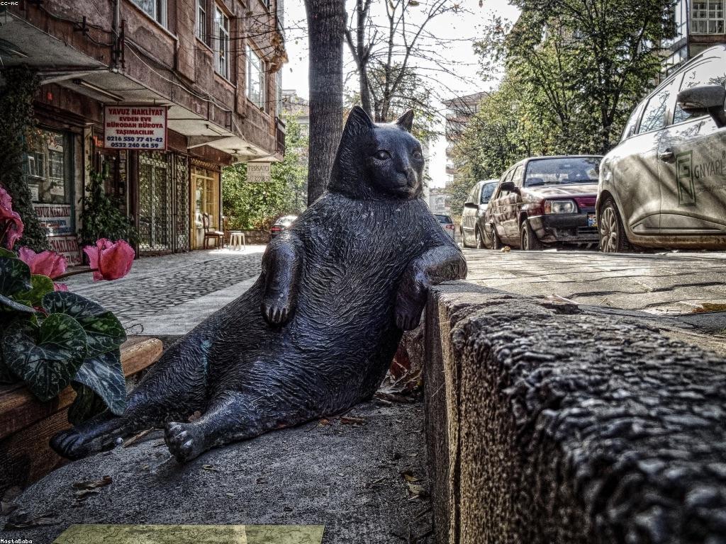 ឱកាសនៃការឈ្នះ: របៀបកែលម្អជីវិតរបស់អ្នក